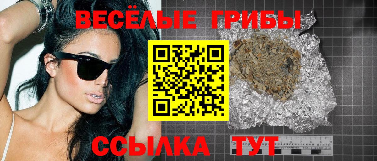 Псилоцибиновые грибы мухоморы  Галлюциногенные грибы Cubensis  Асино  Вход с VPN 